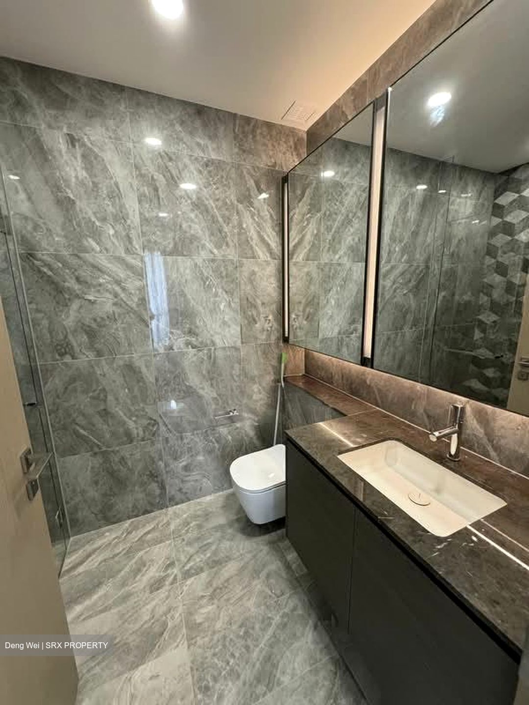 Leedon Green (D10), Condominium #557470601